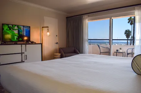 Beachside Inn Отели рядом с достопримечательностью «Мортон Бэй Фиг Три»