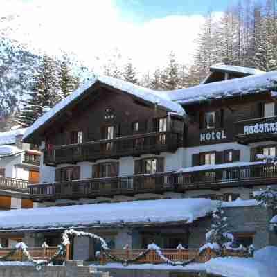 曼達妮娜帕拉迪索健康飯店 Hotel Exterior