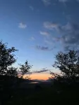 Brúnir