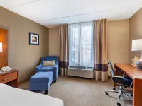 Comfort Inn Hotels in Stark County