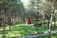 ÇAMPINARI DOĞA EVLERİ & Restaurant Hotels in Mengen