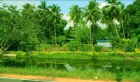 The Senaro Holiday Inn Hotel a Minneriya