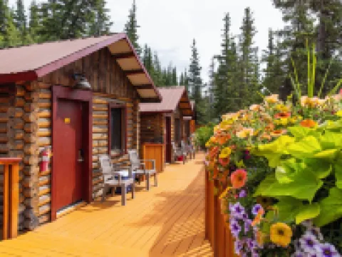 Denali Crow's Nest Cabins Hotels in Denali Borough