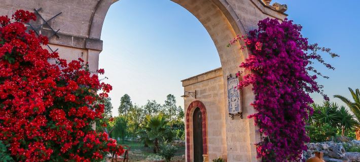 Masseria Montenapoleone Отели в г. Фазано