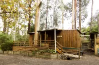Tarra Valley Retreat Hotels in Yarram