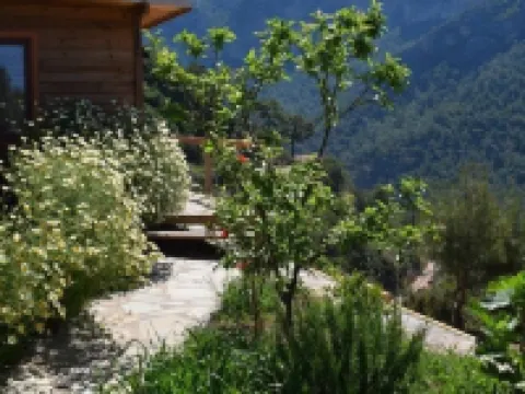 Kabak Avalon Bungalows Hotels in Uzunyurt Mahallesi
