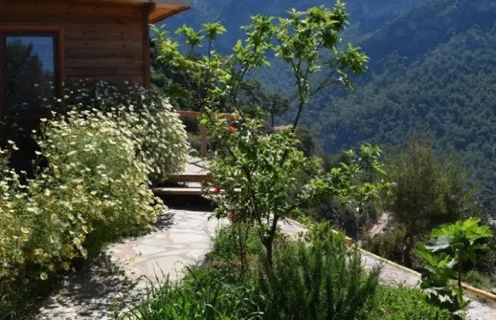 卡巴克阿瓦隆別墅