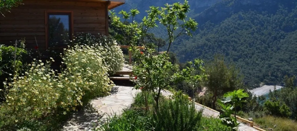 Kabak Avalon Bungalows