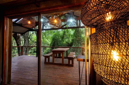 Matumi Trail Forest Lodges - Matumi and Mitzeeri