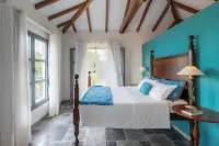 Villa Big Blue - spa
