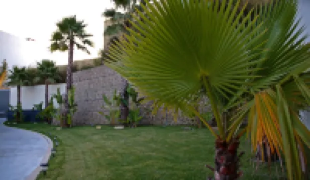 火烈鳥汽車旅館 酒店