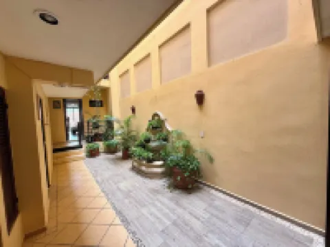 MULUC Playa Hotels in Playa del Carmen