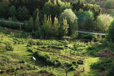 ホテル周辺 ファルケンスタイナー バランス リゾート シュテガースバッハ(大人専用)の写真