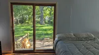 A cozy little house along Trail Creek awaits you.  Relax. Unwind.  Enjoy.