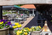 Veluwe Apeldoorn: spacious comfortable chalet + garden - beautiful child-friendly park