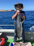 The Whales