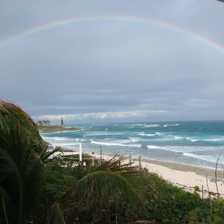 Beachfront paradise: Spectacular views, huge deck, central location, backup gen!