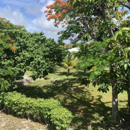 Charming 3 Bedroom Suite 200 steps to Beach, car available