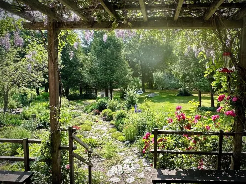 Chalet Sean, peaceful retreat on beautiful mountain brook and walk to river.. Hotels in Sutton