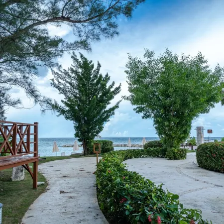 "Idle Time on the Bay Visually Charming and newly refurbished apartment