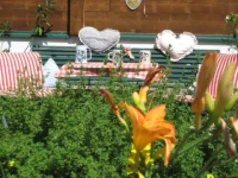 Large app.3-6p,2separate bedrooms,log cabin,cozy,quiet,sunny,close to the center Hotels in Kleinarl