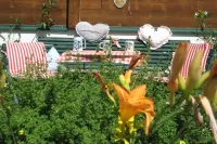 Large app.3-6p,2separate bedrooms,log cabin,cozy,quiet,sunny,close to the center Hotels in Kleinarl