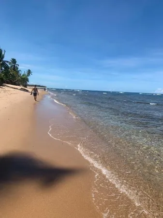 House Praia do Forte, High Luxury, 5 suites, decorated, Cond. The sea side, outbuilding