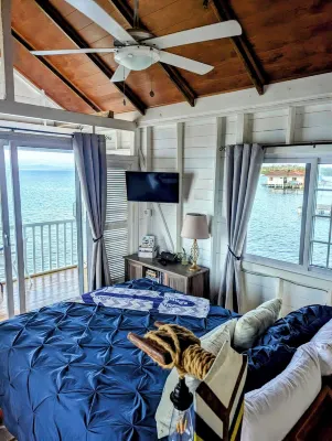 Charming bungalow over a coral reef in the Caribbean sea with stunning sunsets!