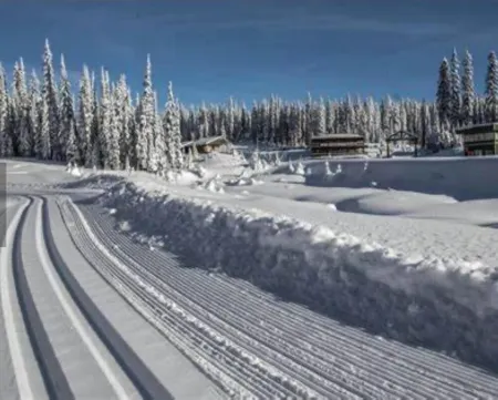 20 Klm from SilverStar in Vernon with Private Hot Tub Отели рядом с достопримечательностью «Alexis Park»