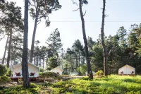 Mendocino Grove - 2-Star