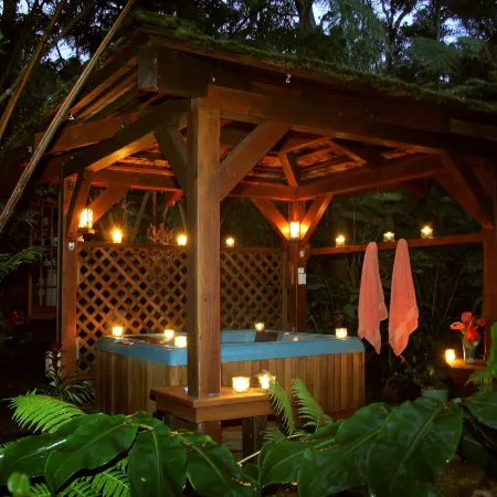 Volcano Rainforest Retreat