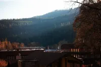 白松樹汽車旅館 - 汽車旅館