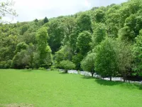 Barn Cottage Hotels in Withypool and Hawkridge