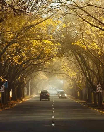 Stables Boutique Motel Отели рядом с достопримечательностью «Лонгвью Вайнярд»