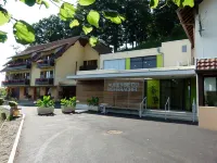 Logis Auberge du Mehrbachel - Hôtel & Restaurant - Mountain view