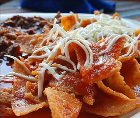 Hotel Cosmos Don Carlos