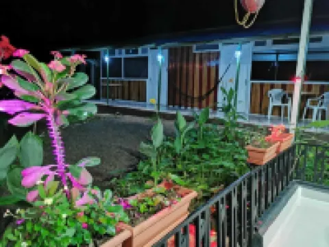 Cabins Yafeth Osa Drake Bay