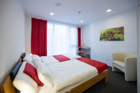 Hotel Ochsen Отели в г. Шюпфен