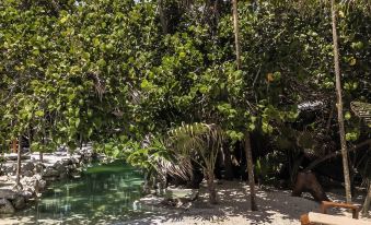 Niken Beachfront Tulum Hotel