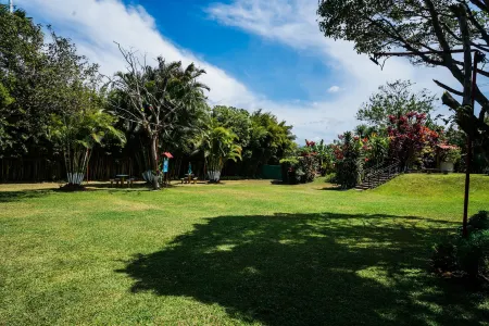 Hotel Cibeles Resort