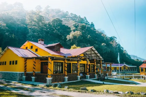 Country Delights - WiFi
