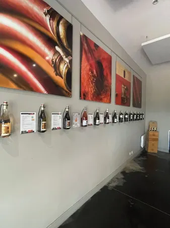 In the middle of the vineyard in the castel Отели рядом с достопримечательностью «Abbatiale de Saint Gilles»