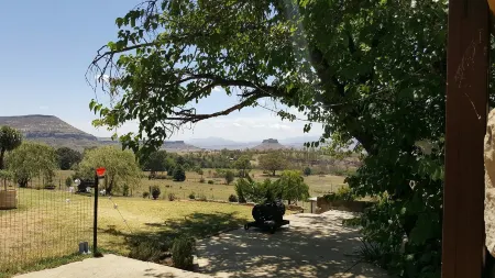 The Fat Mulberry Guest Farm