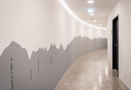 다스 플랙스 객실