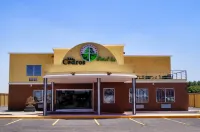 Los Cedros Hotel Inn Hotels near Plaza GEO I