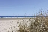 Carriage House Motel Cottages & Suites - Beach