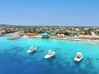 Divi Flamingo Beach Resort Hotels in Kralendijk