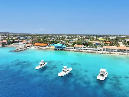 Divi Flamingo Beach Resort Отели в г. Кралендейк