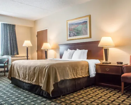 Quality Inn & Suites Palm Island Indoor Waterpark Hotels in Batavia