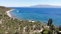 idaolea ASSOS